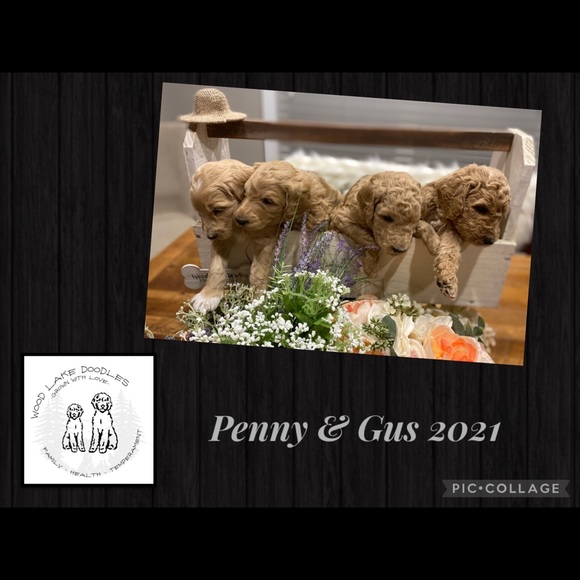 Meet your Posher, Andrea - Picture 2 of 2